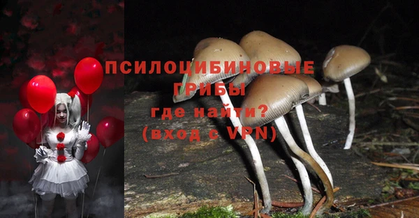 ешки Коряжма