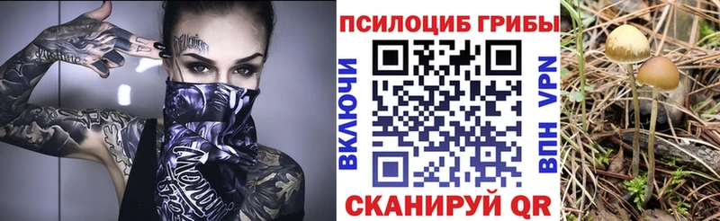 Псилоцибиновые грибы прущие грибы  OMG ссылки  Медвежьегорск 